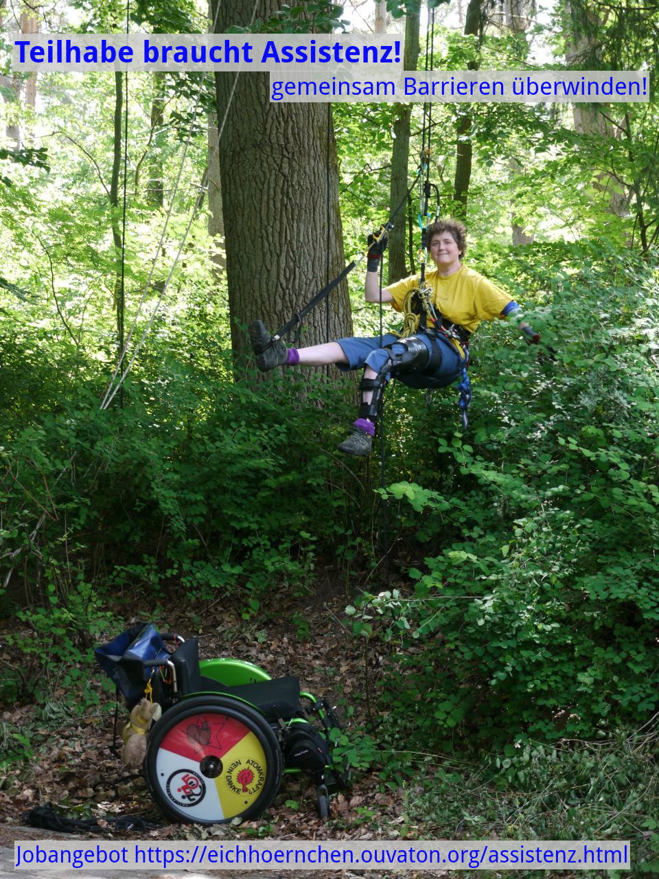kletterin im Baum, ihr Rollstuhl am Boden